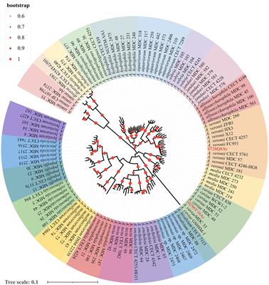 Two colistin resistance-producing Aeromonas strains, isolated from coastal waters in Zhejiang, China: characteristics, multi-drug resistance and pathogenicity